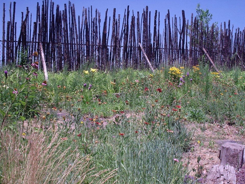 Flower Garden