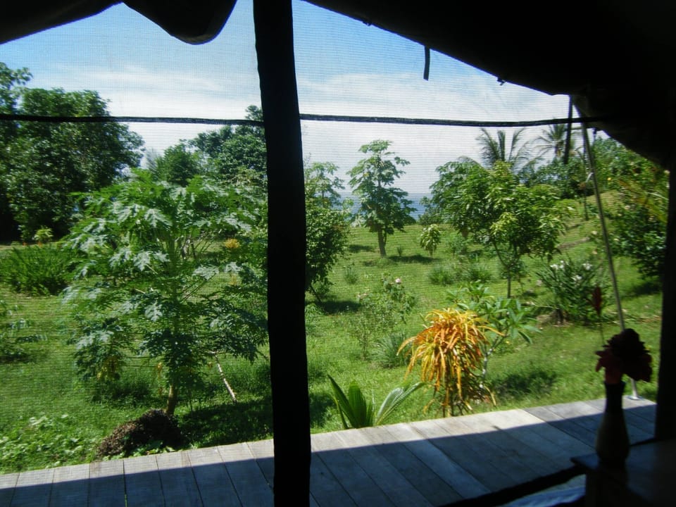 view from eco tent