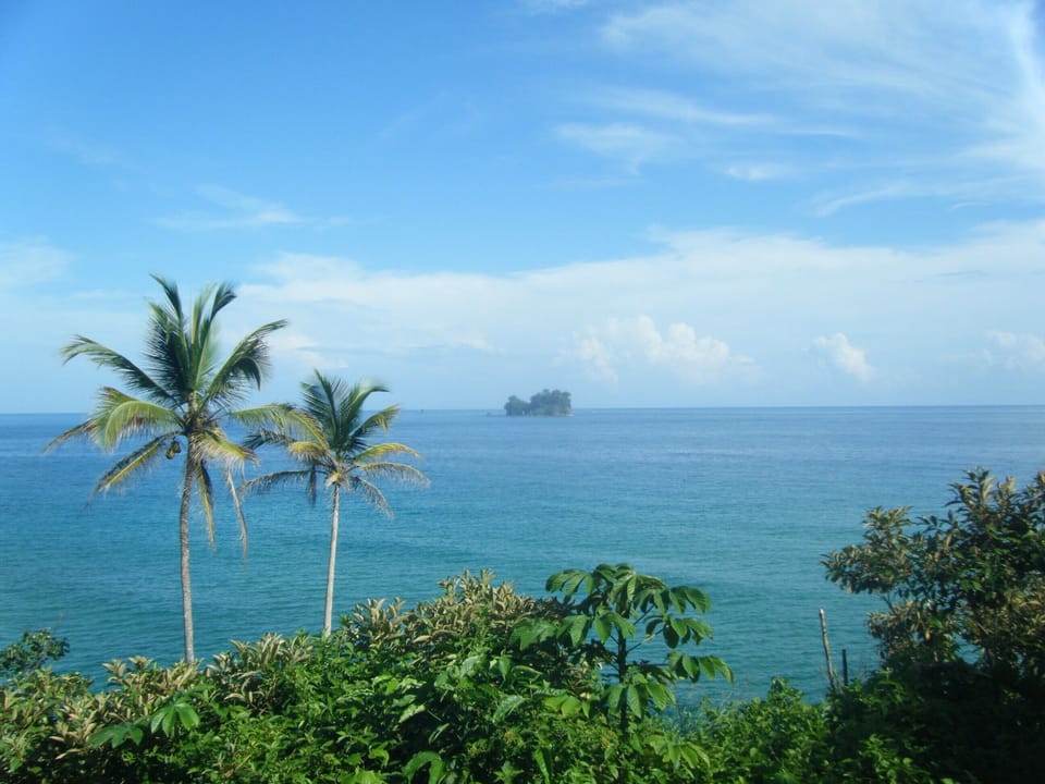 View of Bird Island from the front porch of the cabin