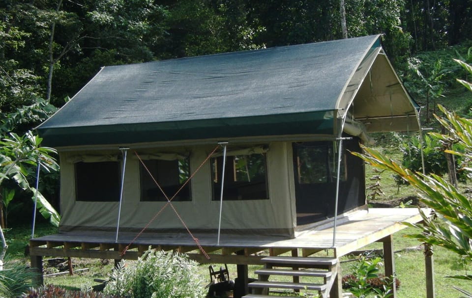 eco tent