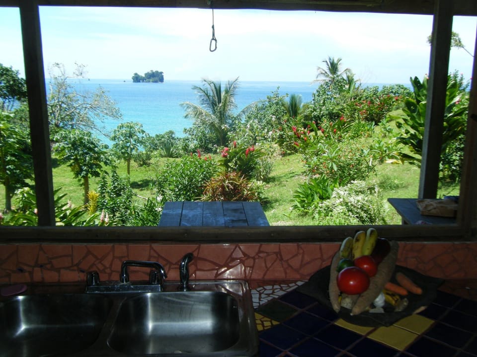 looking out over kitchen sink in the main cabin