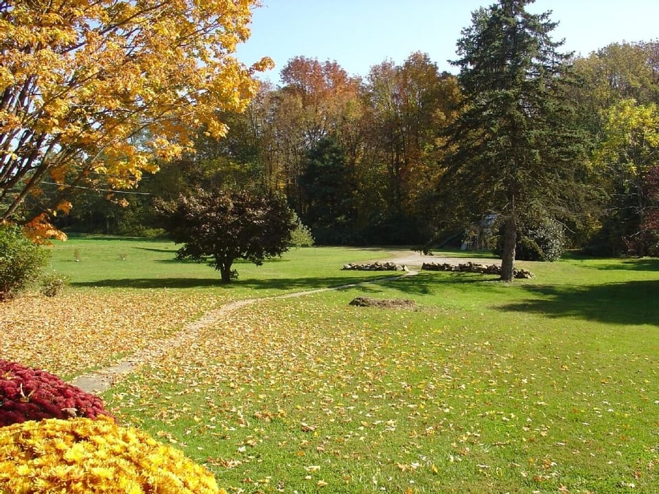 View from the front porch in fall