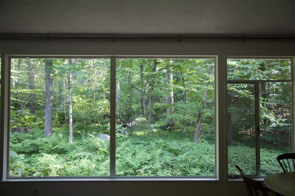 View from the living room. High Summer. 