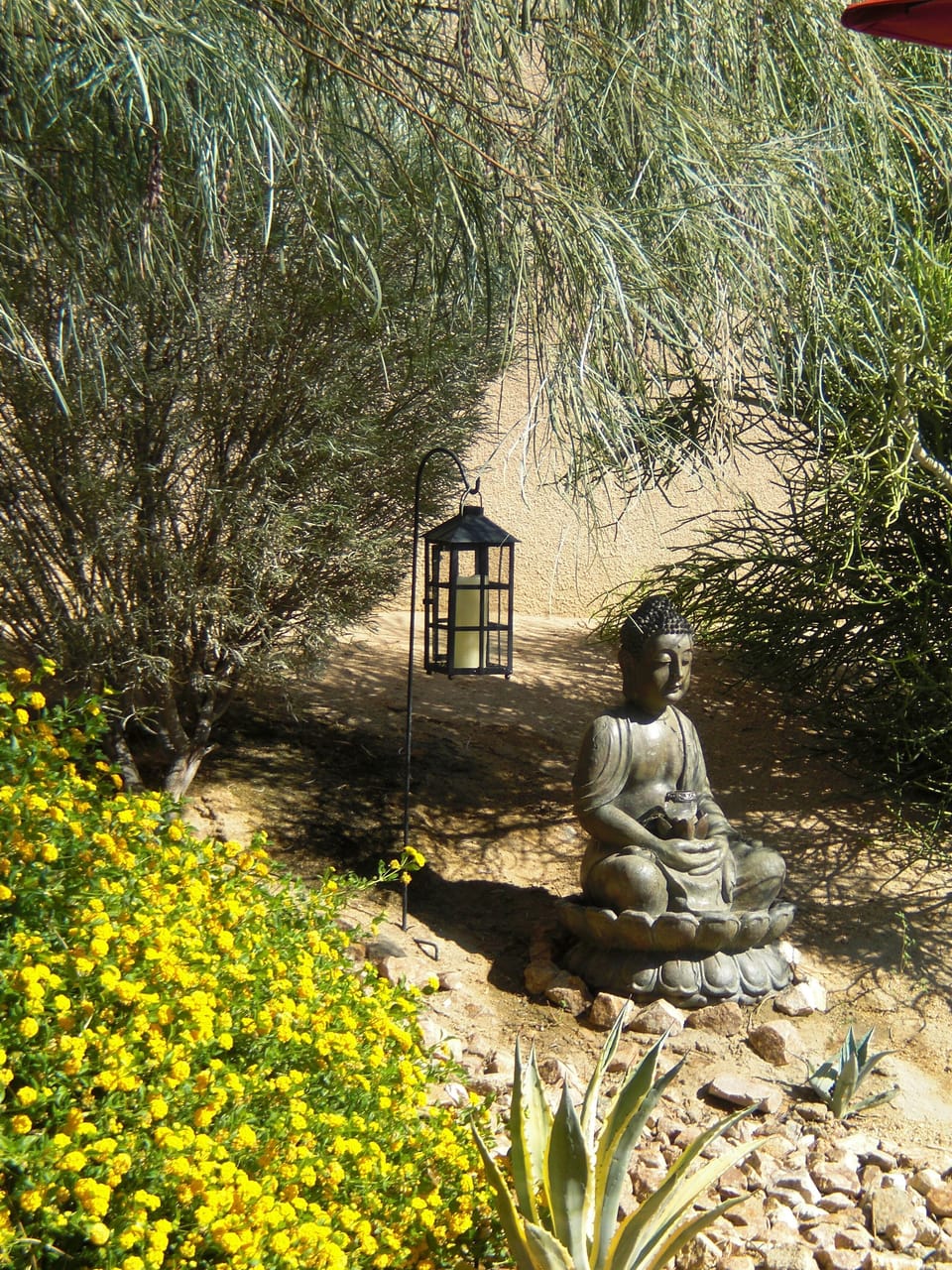 Backyard Zen Feel