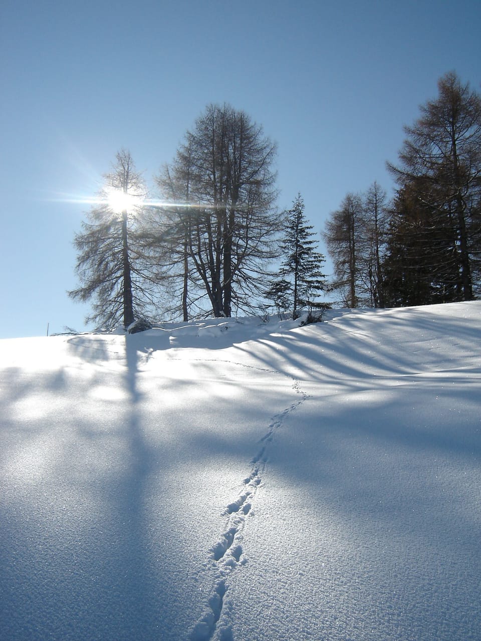 Snow and ski sports