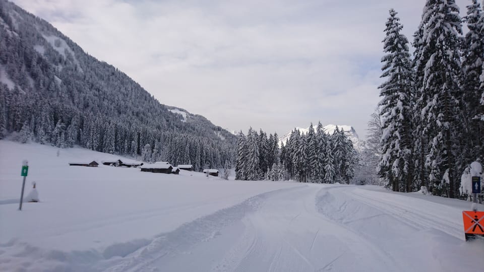 Snow and ski sports