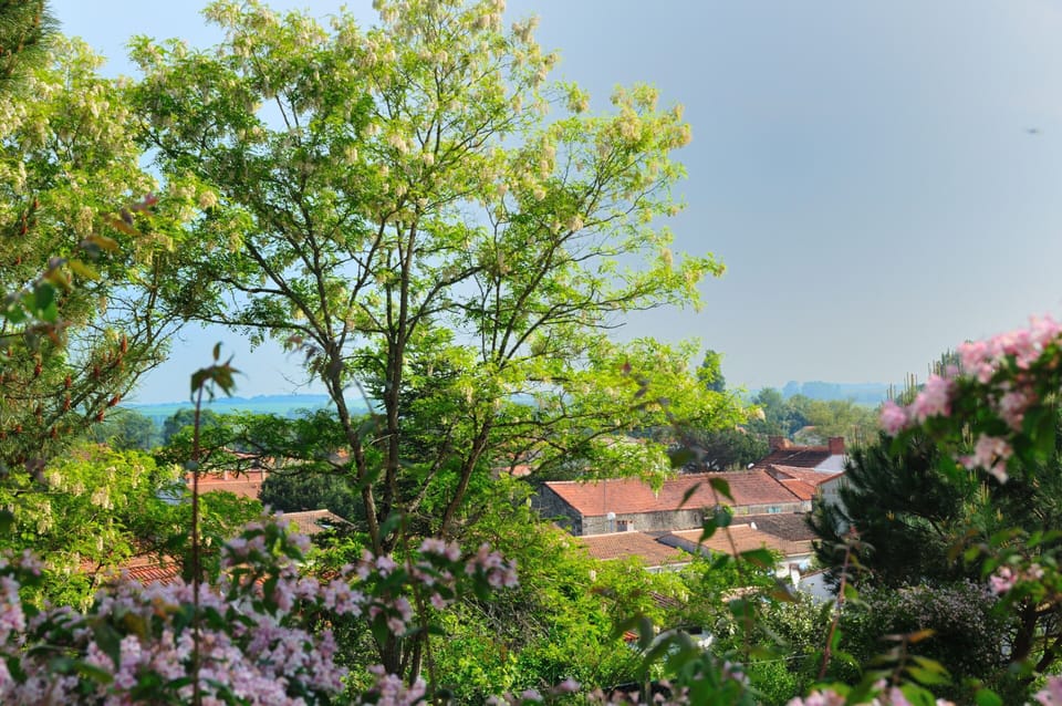 View on Les Conches from the terrace