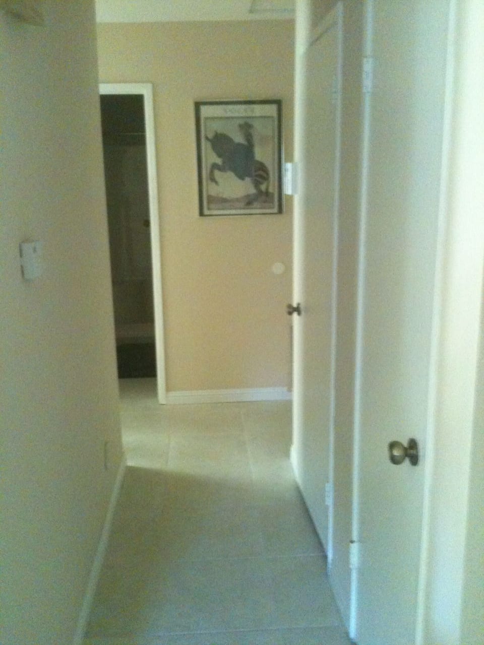 Hallway to the guest bedroom.