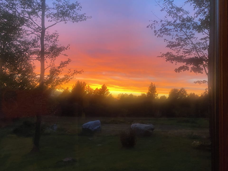 View from property