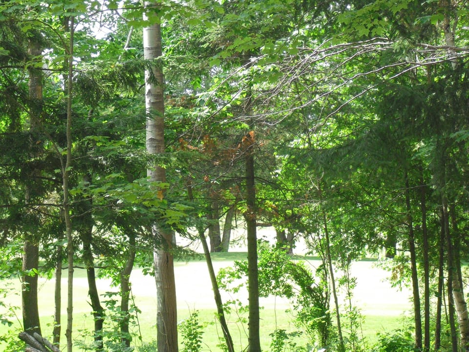 Peek of the Golf Course!