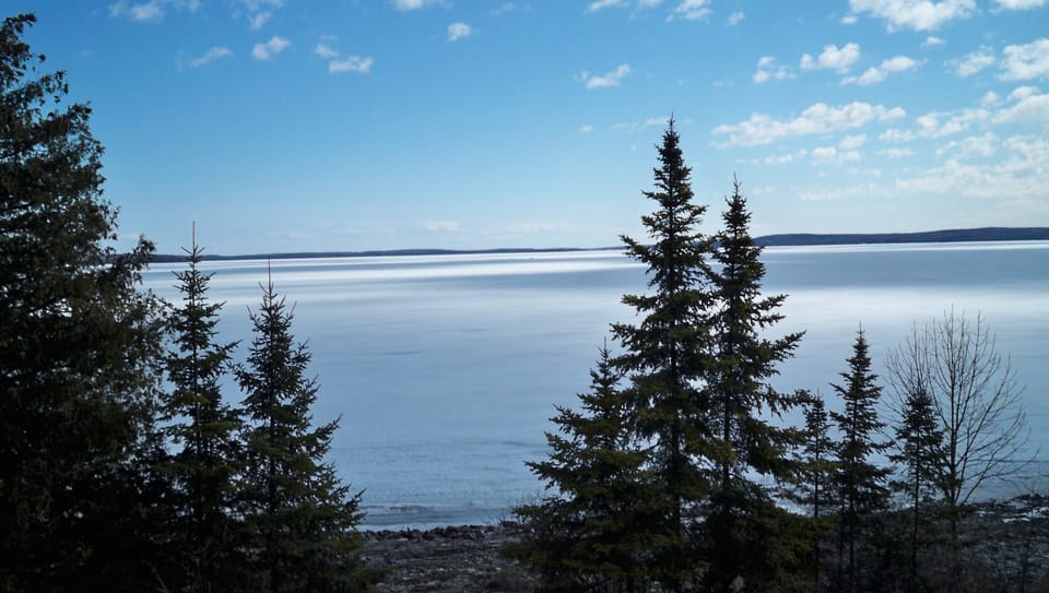 winter/early spring view