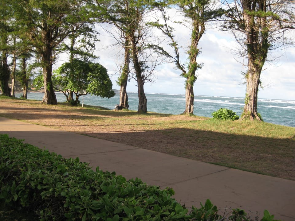 Oceanfront paved bike/jogging path that is a must-do.