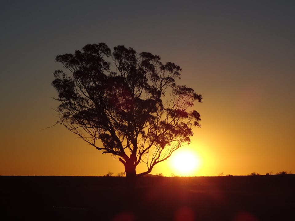Cradock Pub at Sunset 