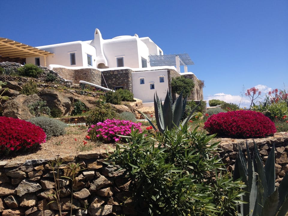 The villa is situated in authentic mediterranean garden 