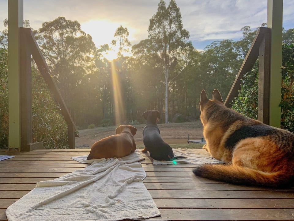 Watching the sun rise