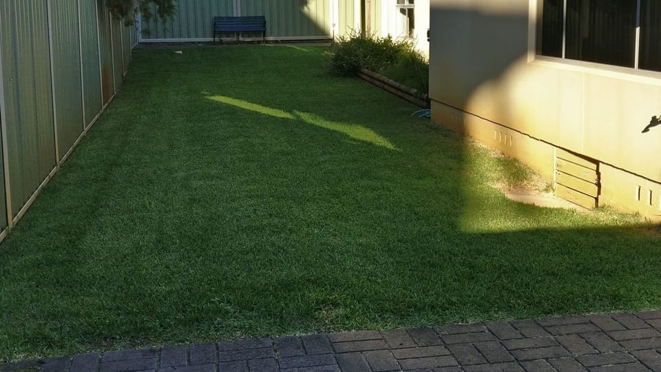 Large enclosed grassy area