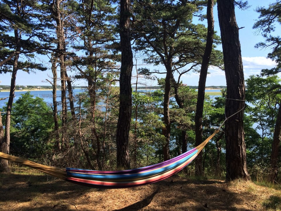 We know you'll enjoy the view...