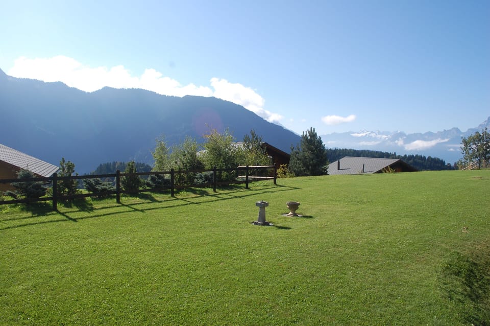 The garden in summer