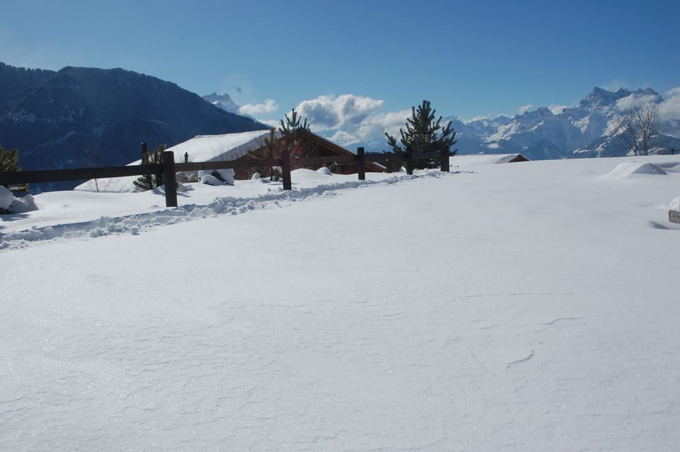 The garden in Winter