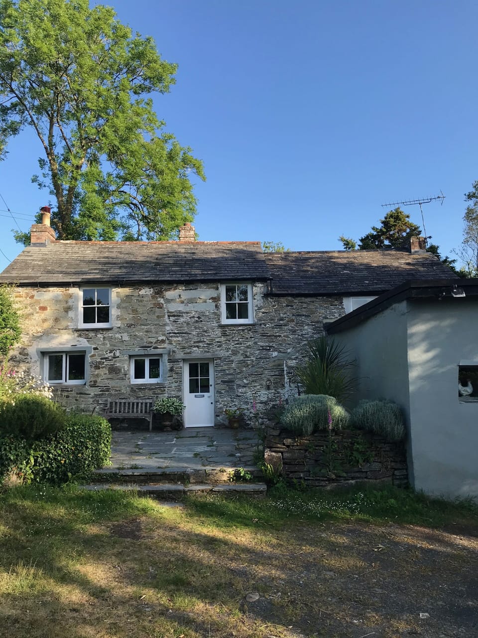 Front of house, morning