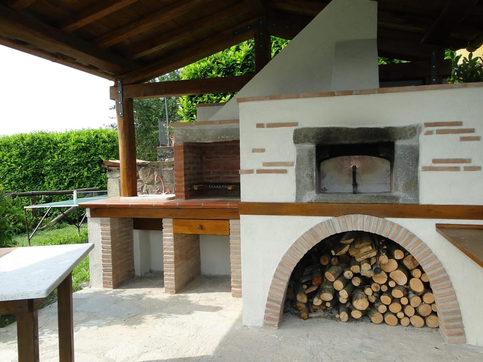 Wood burning pizza oven