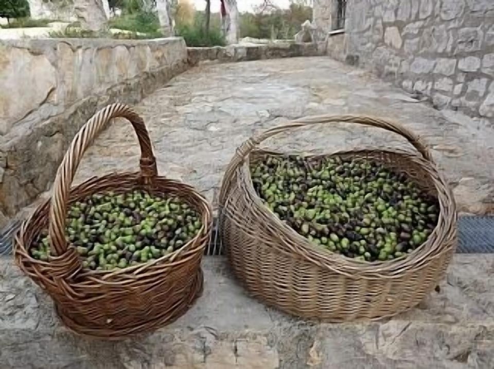 Olives