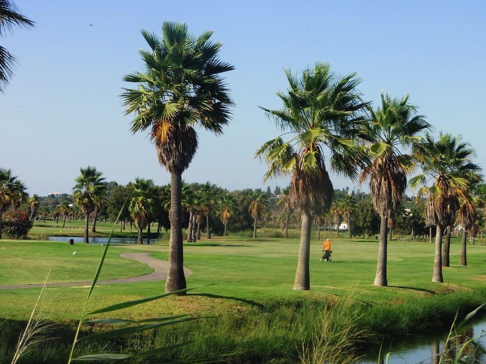 Salgados Golf: 18-hole.
7 min walk
