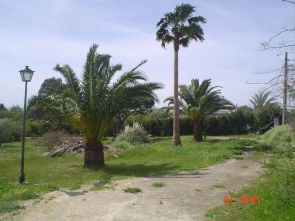 Garden, Park
