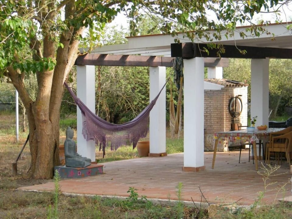 Terrace / Balcony