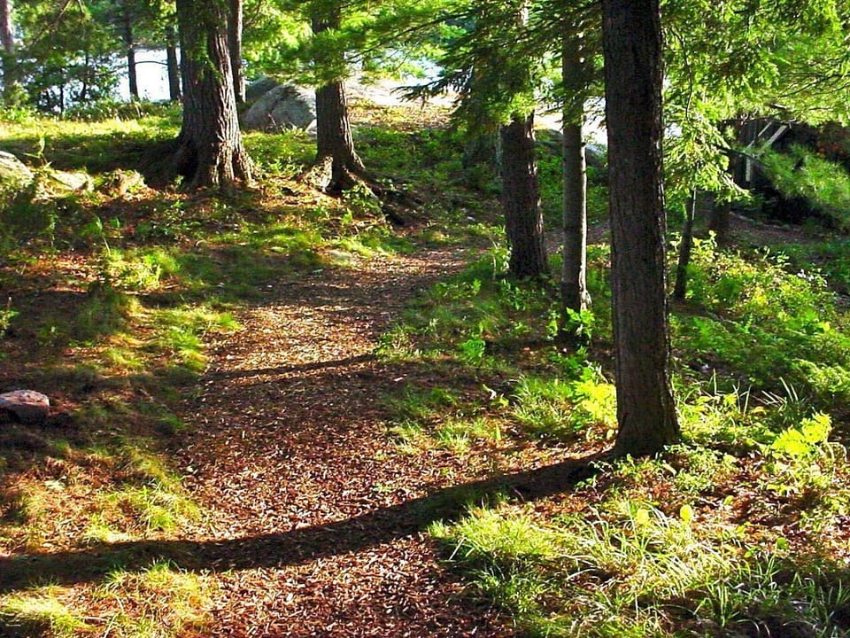 Path down to the Back Dock