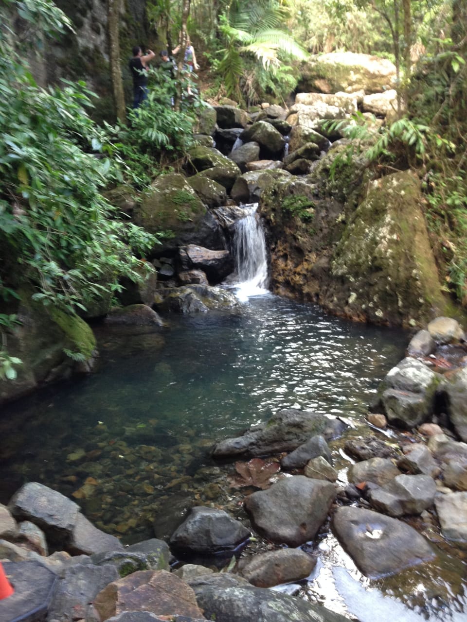 El Yunque, Las Minas trail