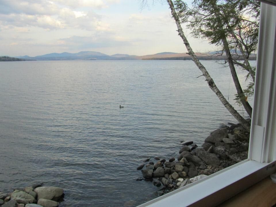 View from Living Room