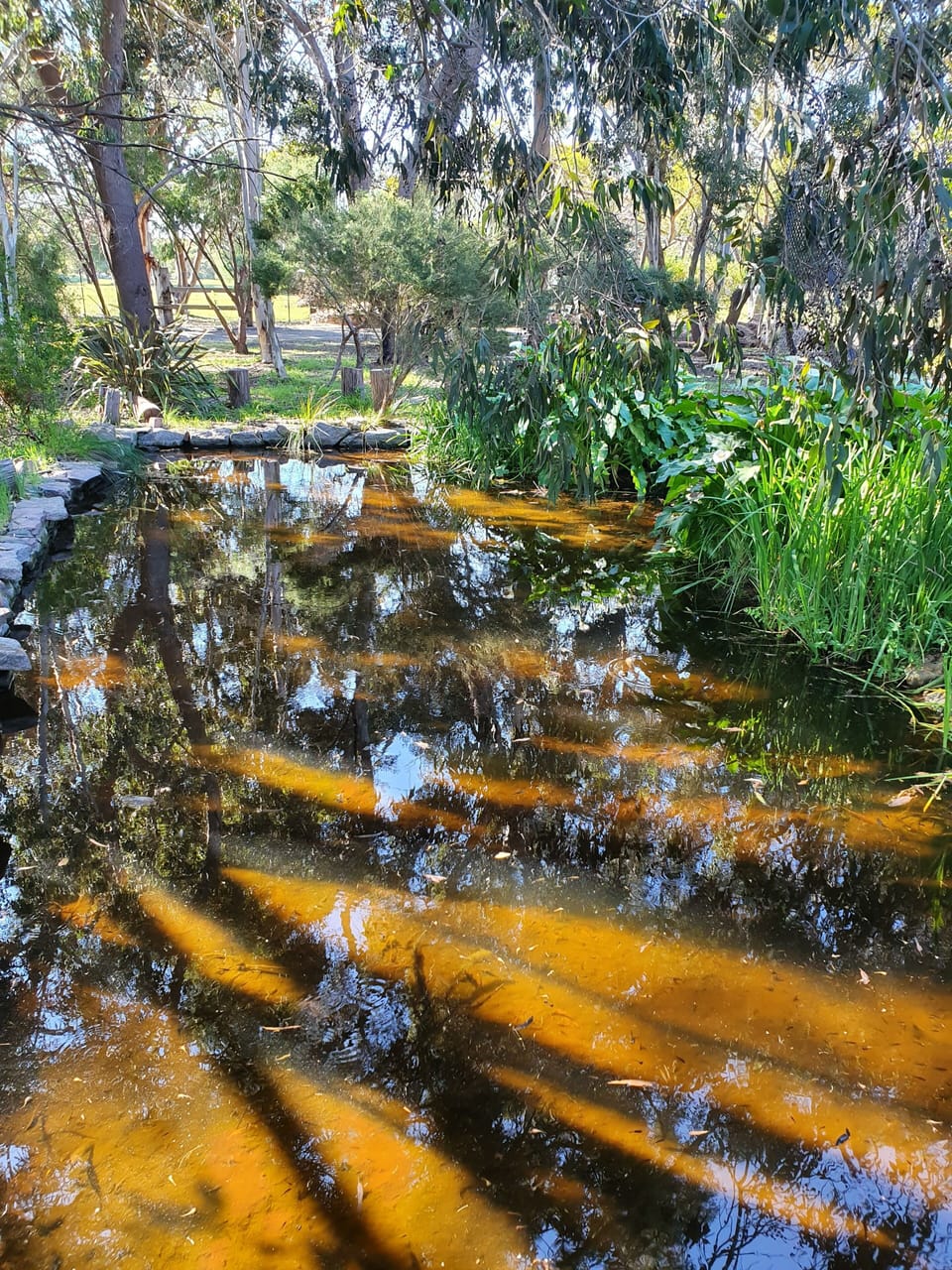 Front lake 