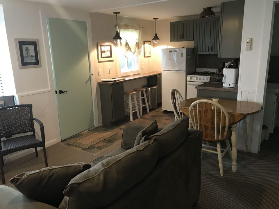 Living area and kitchen.