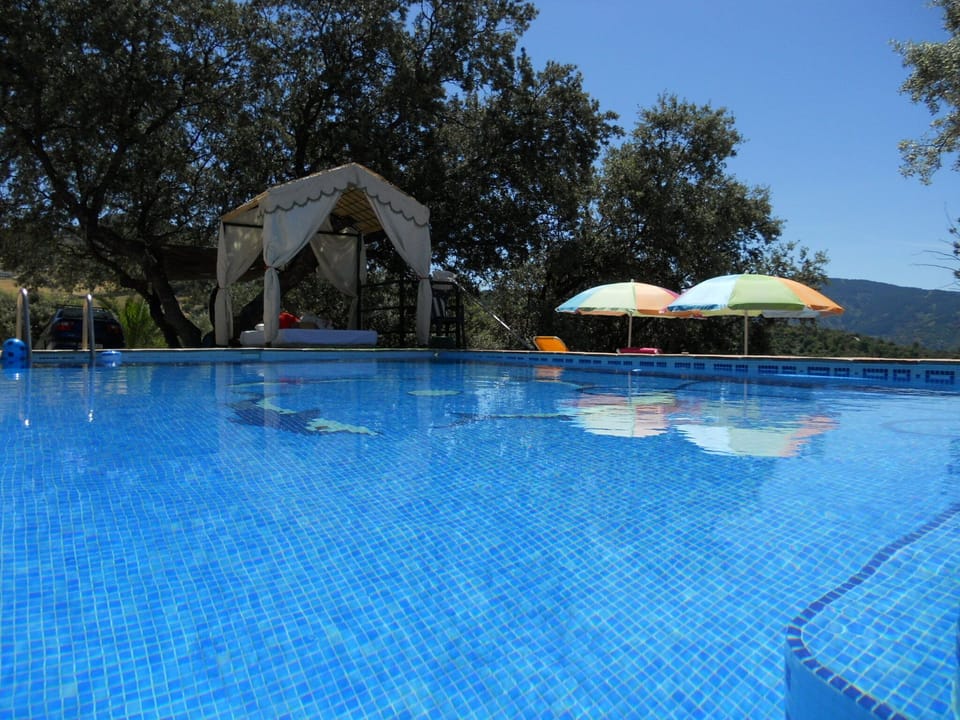 Pool 8 x 5 meters