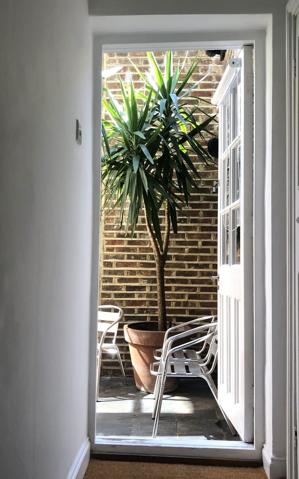 View onto private patio from the back door.