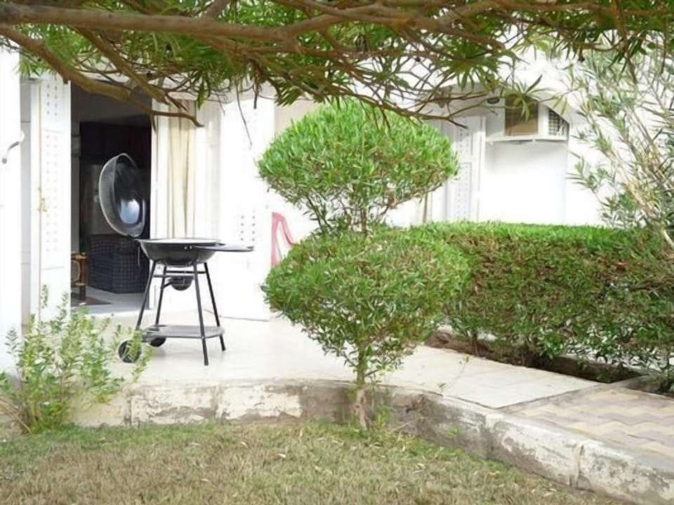 Picture 14