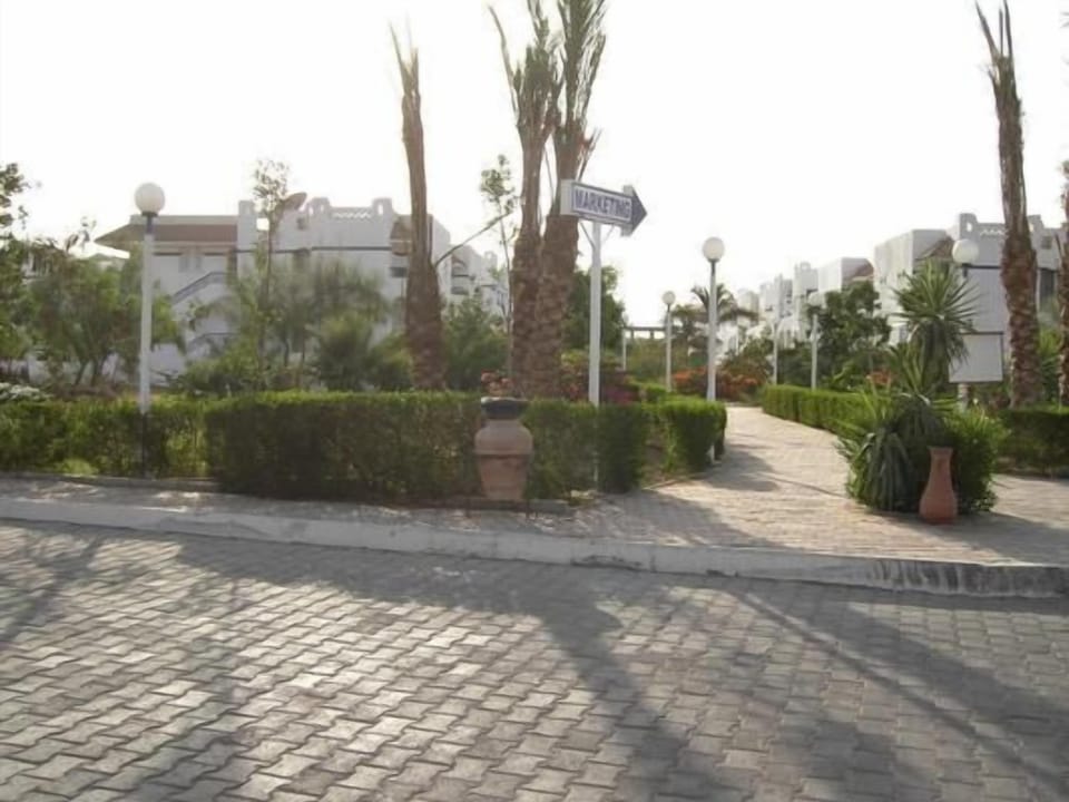 Picture 12