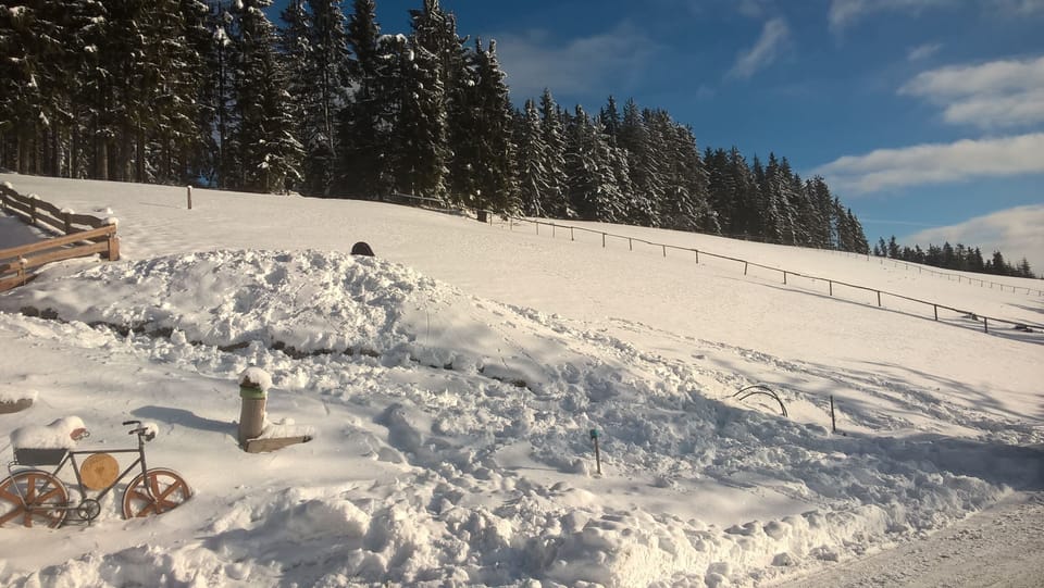 Snow and ski sports