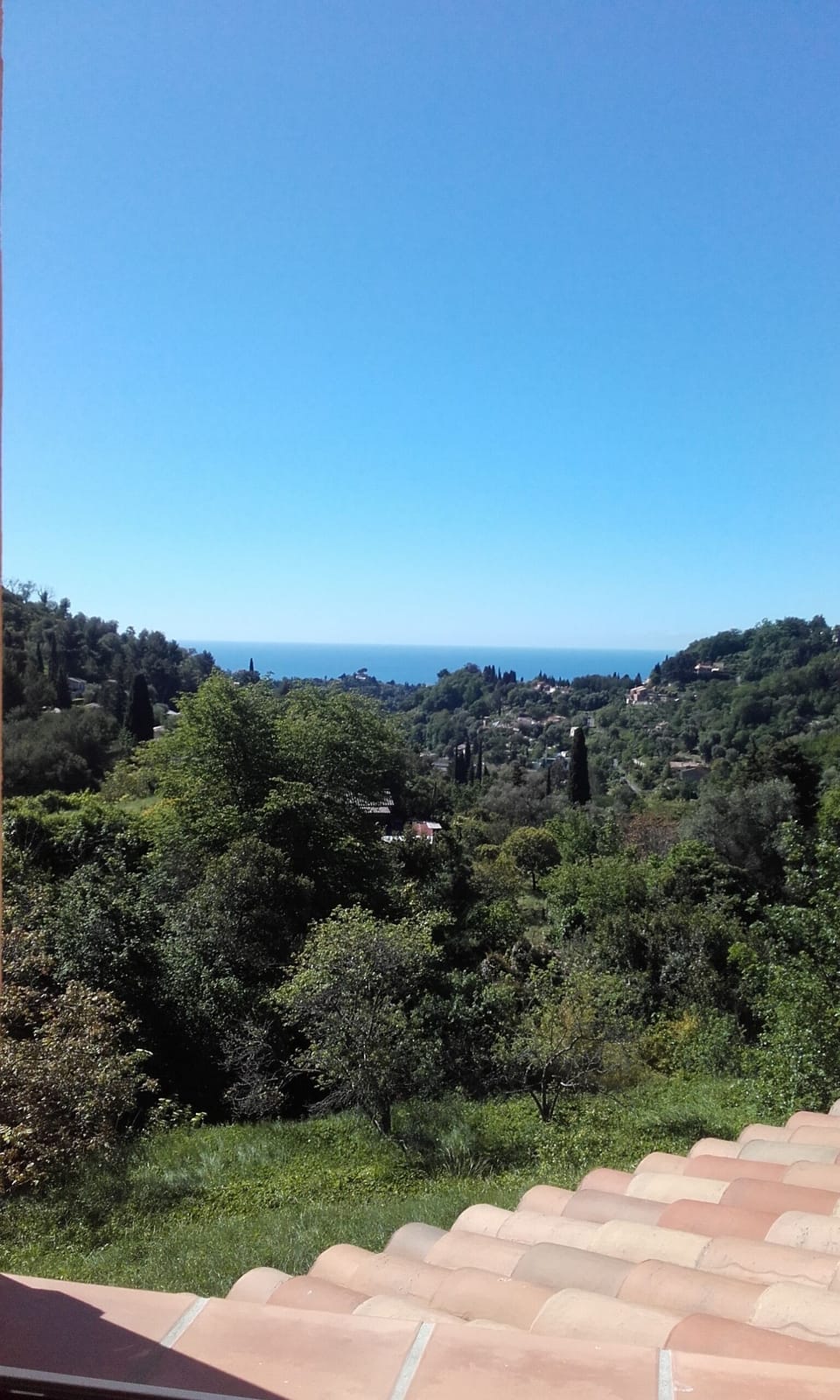View from property