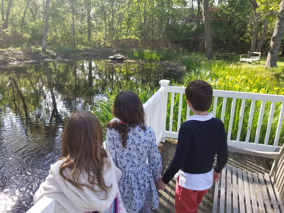 Tranquil setting overlooking pond 

Tranquil setting overlooking pond 