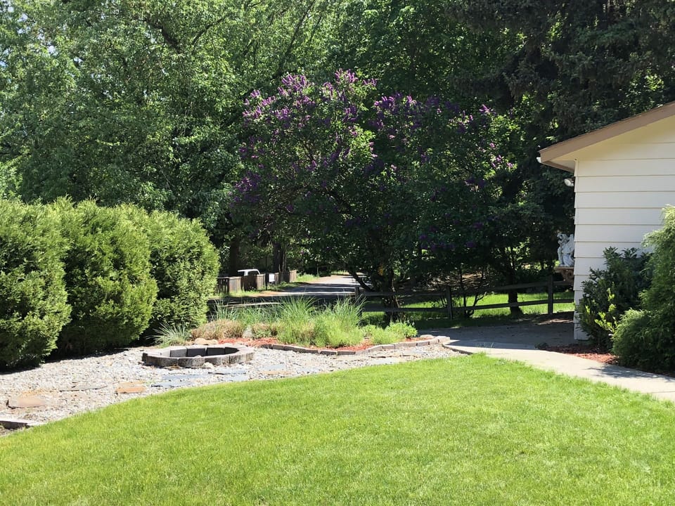 front yard 