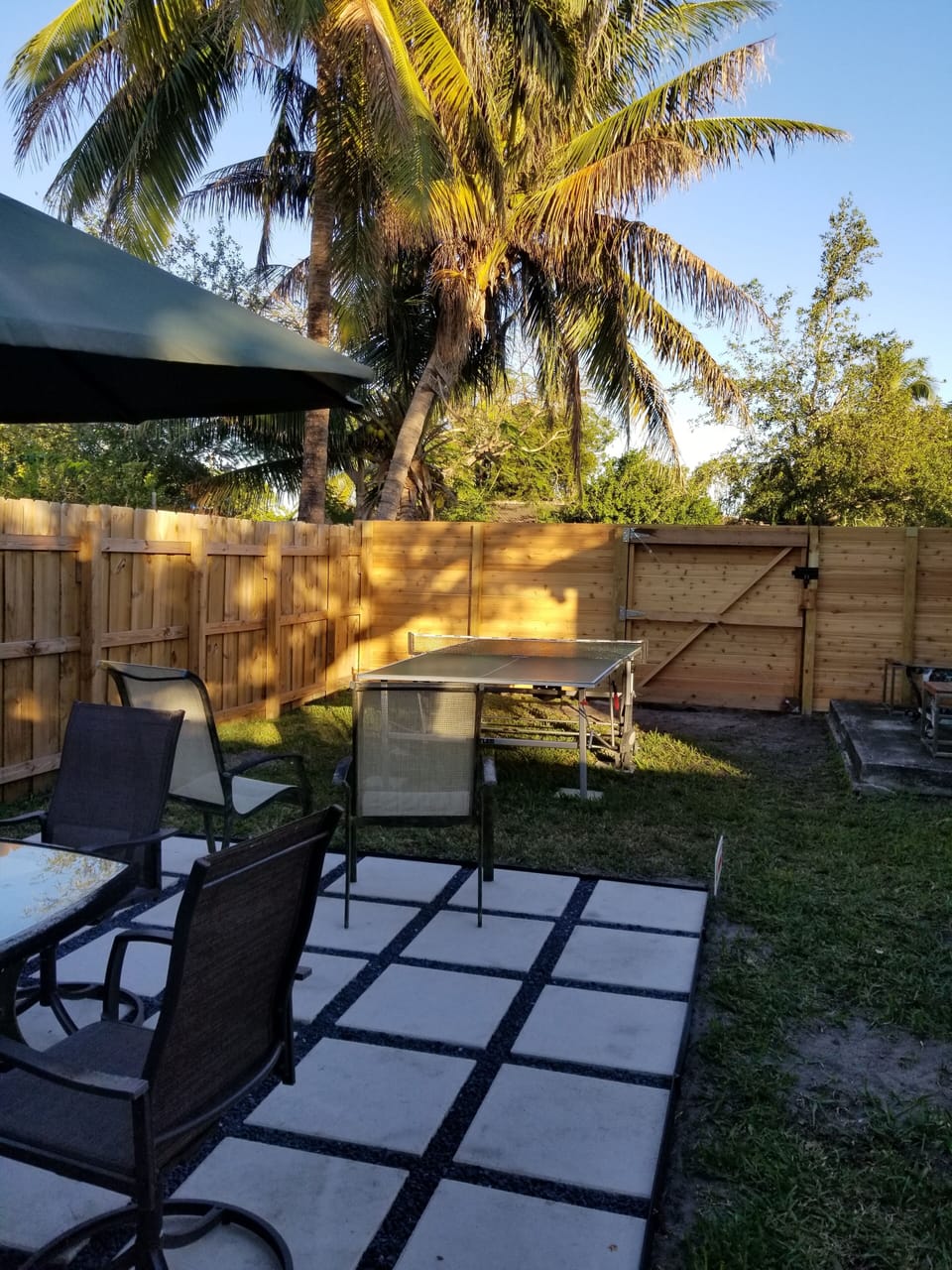 Ping Pong in private backyard