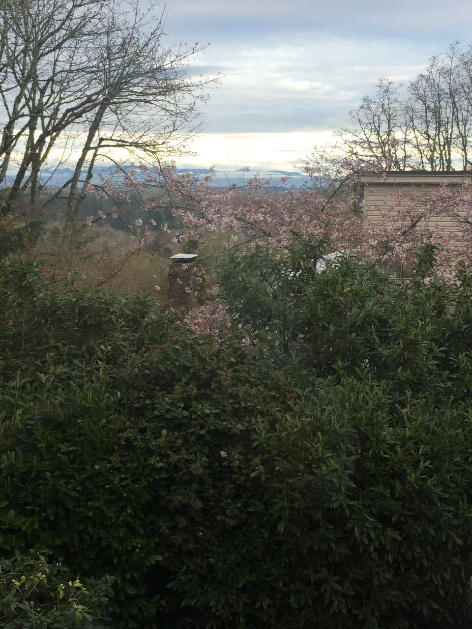 The view to the West from the deck