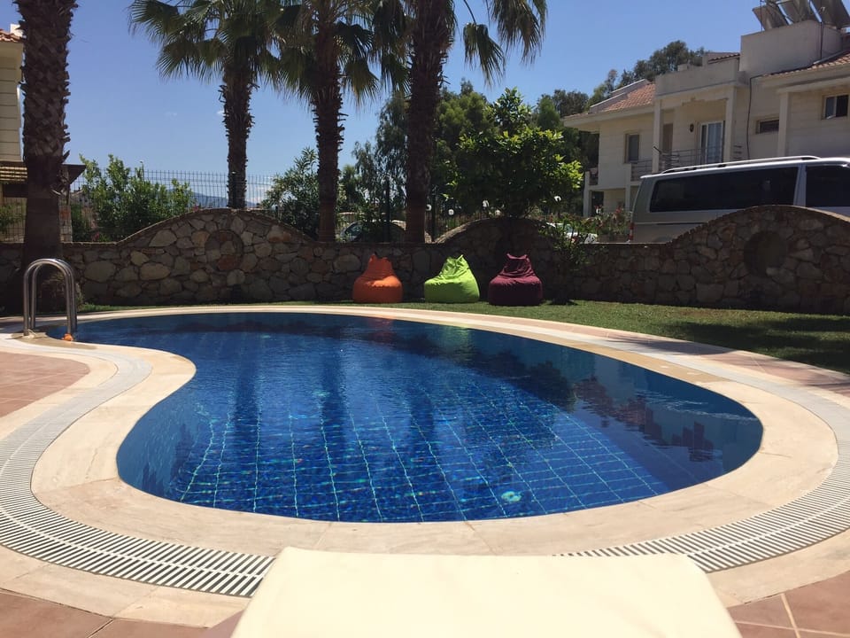 Pool & garden