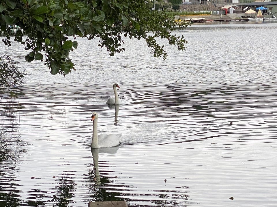Lake