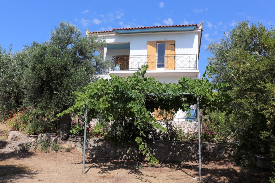 Main view