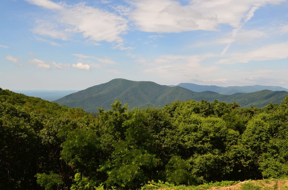 View from the lookout 