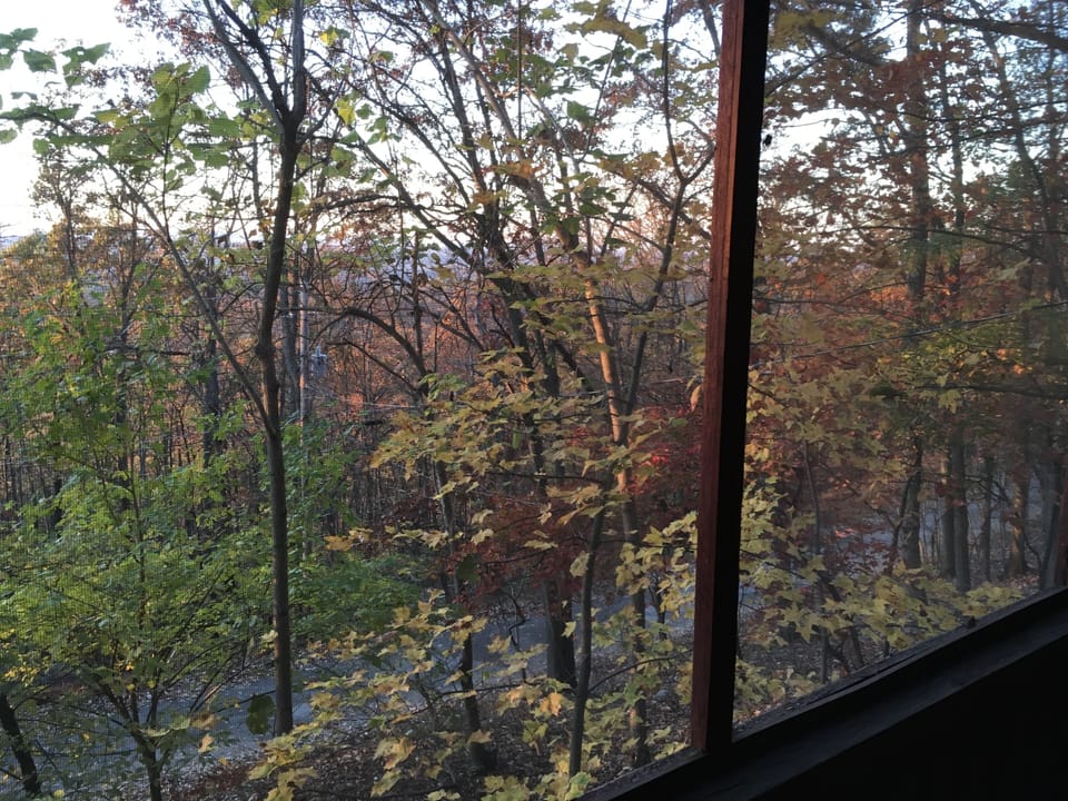 Porch Overlooks a Quiet Moonridge Lane