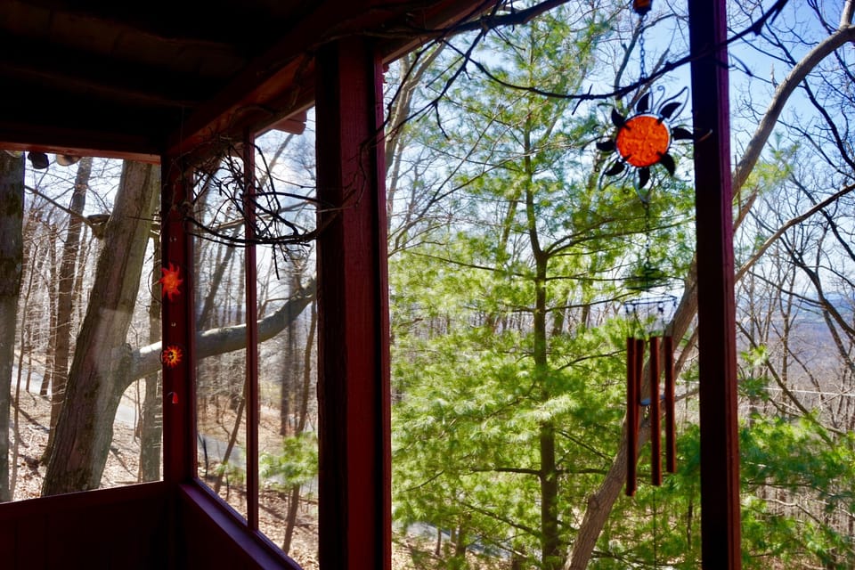 Warm Afternoon Sun Streams in Thru Porch